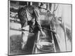 Photographic Print