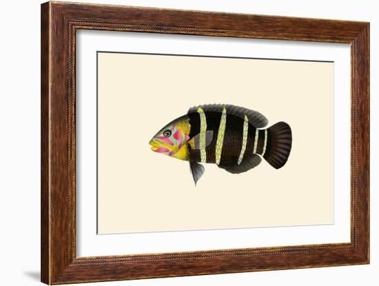 Panoo-Girawah Worm-Parrot-John Whitchurch Bennett-Framed Art Print