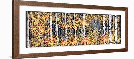 Panor Aspens 2-Roderick E. Stevens-Framed Giclee Print