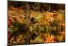 Panorama Daigoji Temple Shingon Buddhist Temple at Night in Daigo Kyoto Japan-vichie81-Mounted Photographic Print