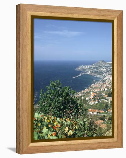 Panorama, Funchal, Madeira, Portugal-Peter Thompson-Framed Premier Image Canvas