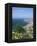 Panorama, Funchal, Madeira, Portugal-Peter Thompson-Framed Premier Image Canvas