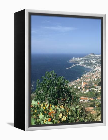 Panorama, Funchal, Madeira, Portugal-Peter Thompson-Framed Premier Image Canvas