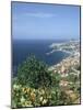 Panorama, Funchal, Madeira, Portugal-Peter Thompson-Mounted Photographic Print