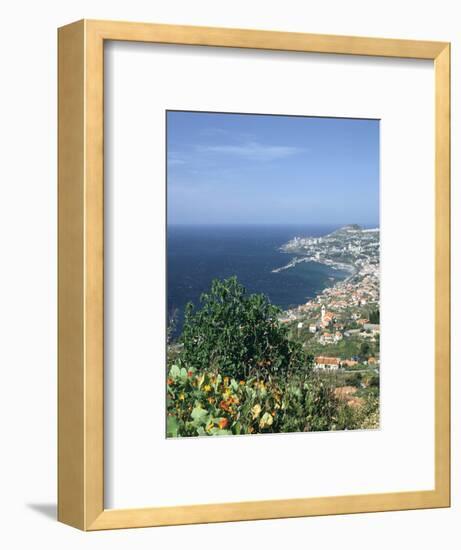 Panorama, Funchal, Madeira, Portugal-Peter Thompson-Framed Photographic Print