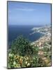 Panorama, Funchal, Madeira, Portugal-Peter Thompson-Mounted Photographic Print