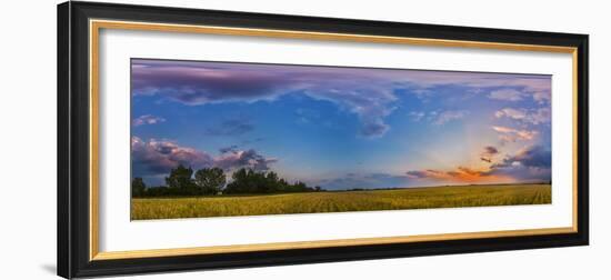 Panorama of a Colorful Sunset over a Prairie in Alberta, Canada-Stocktrek Images-Framed Photographic Print