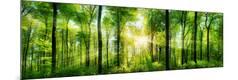 Photographic Print