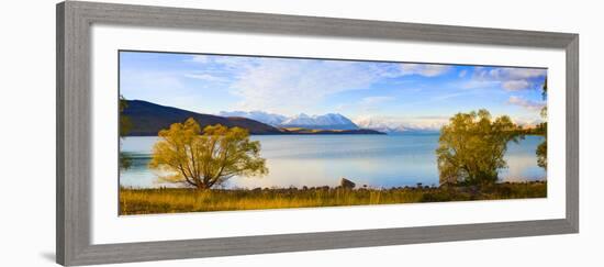 Panorama of Autumn Trees at Lake Tekapo, Canterbury, Southern Lakes, South Island, New Zealand-Matthew Williams-Ellis-Framed Photographic Print