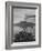 Panorama of Lake Atitlan with Volcano Smoking in Background-Cornell Capa-Framed Photographic Print