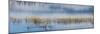 Panorama of lake.-Richard Wright-Mounted Photographic Print