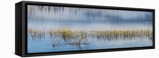 Panorama of lake.-Richard Wright-Framed Premier Image Canvas