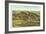 Panorama of Pike's Peak Region, Colorado-null-Framed Art Print