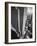 Panorama of RCA Building at Rockefeller Center Between 49th and 50Th, on the Avenue of the Americas-Andreas Feininger-Framed Photographic Print