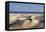 Panorama of the Sand Dunes of Maspalomas-Markus Lange-Framed Premier Image Canvas