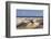 Panorama of the Sand Dunes of Maspalomas-Markus Lange-Framed Photographic Print