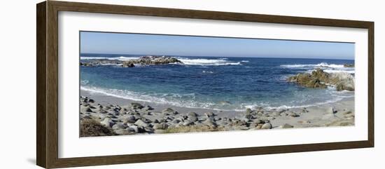 Panorama of Waves Along Monterey Peninsula, California Coast-Sheila Haddad-Framed Photographic Print