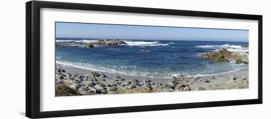Panorama of Waves Along Monterey Peninsula, California Coast-Sheila Haddad-Framed Photographic Print