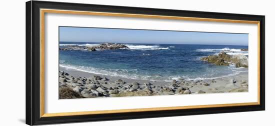 Panorama of Waves Along Monterey Peninsula, California Coast-Sheila Haddad-Framed Photographic Print