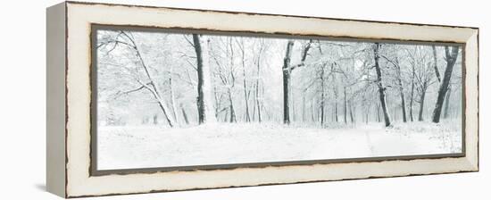 Panorama of Winter Forest with Trees Covered Snow-Olegkalina-Framed Premier Image Canvas