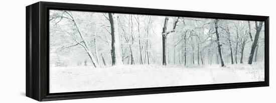 Panorama of Winter Forest with Trees Covered Snow-Olegkalina-Framed Premier Image Canvas