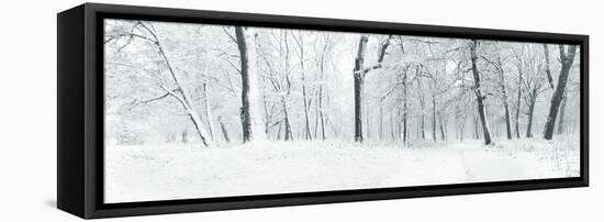 Panorama of Winter Forest with Trees Covered Snow-Olegkalina-Framed Premier Image Canvas