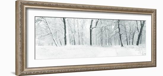 Panorama of Winter Forest with Trees Covered Snow-Olegkalina-Framed Photographic Print