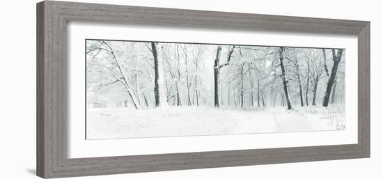 Panorama of Winter Forest with Trees Covered Snow-Olegkalina-Framed Photographic Print