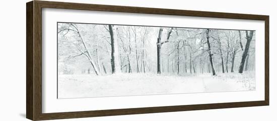 Panorama of Winter Forest with Trees Covered Snow-Olegkalina-Framed Photographic Print