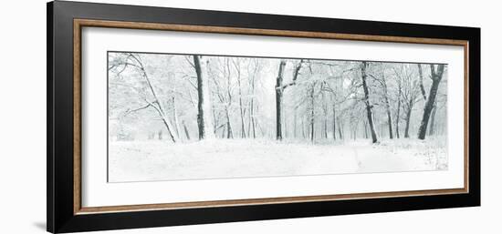 Panorama of Winter Forest with Trees Covered Snow-Olegkalina-Framed Photographic Print