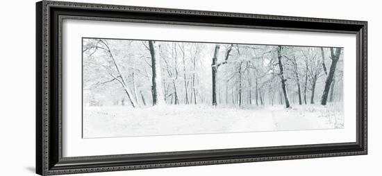 Panorama of Winter Forest with Trees Covered Snow-Olegkalina-Framed Photographic Print