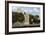 Panorama. Old Fort Along the Bosphorus Coast. Istanbul. Turkey-Tom Norring-Framed Photographic Print