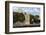 Panorama. Old Fort Along the Bosphorus Coast. Istanbul. Turkey-Tom Norring-Framed Photographic Print