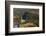 Panorama over the Dordogne River, Bastide of Domme, Domme, Dordogne, Perigord, France, Europe-Nathalie Cuvelier-Framed Photographic Print