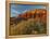 Panorama Point, Capitol Reef National Park, Utah, USA-Cathy & Gordon Illg-Framed Premier Image Canvas