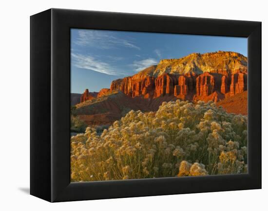 Panorama Point, Capitol Reef National Park, Utah, USA-Cathy & Gordon Illg-Framed Premier Image Canvas