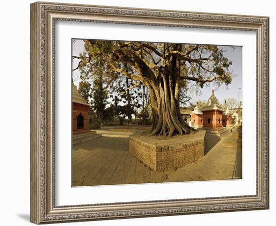 Panorama Produced by Joining Several Images, at One of the Holiest Hindu Sites, Kathmandu-Don Smith-Framed Photographic Print