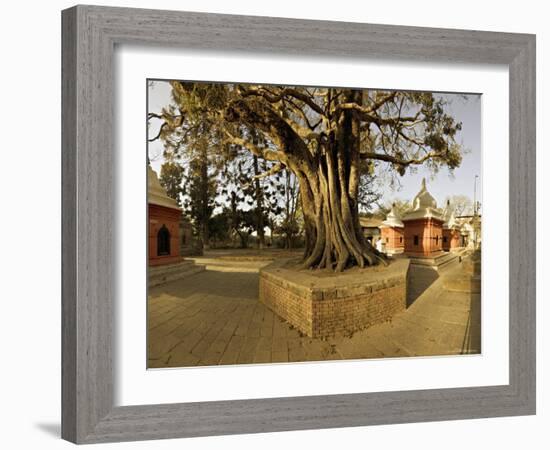 Panorama Produced by Joining Several Images, at One of the Holiest Hindu Sites, Kathmandu-Don Smith-Framed Photographic Print
