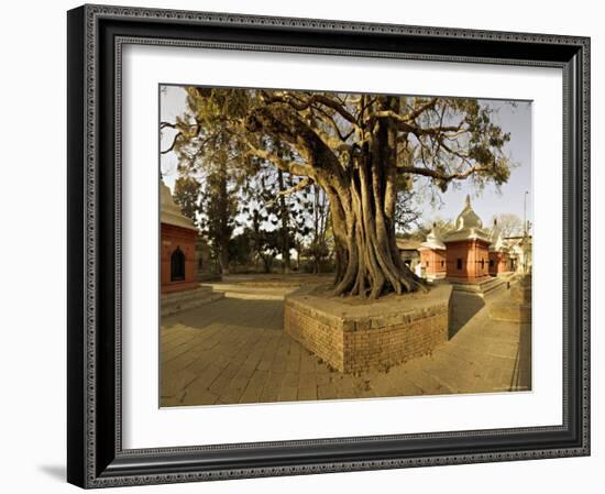 Panorama Produced by Joining Several Images, at One of the Holiest Hindu Sites, Kathmandu-Don Smith-Framed Photographic Print