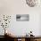 Panorama Roca 1-Moises Levy-Photographic Print displayed on a wall