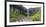 Panorama, Skaftafell National Park, Svartifoss-Catharina Lux-Framed Photographic Print