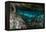 Panorama, Snorkeling Cenote Cavern at Tulum. Cancun. Traveling through Mexico.-diegocardini-Framed Premier Image Canvas