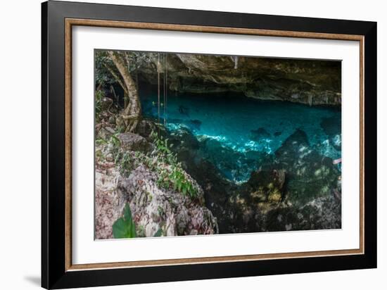 Panorama, Snorkeling Cenote Cavern at Tulum. Cancun. Traveling through Mexico.-diegocardini-Framed Photographic Print