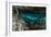 Panorama, Snorkeling Cenote Cavern at Tulum. Cancun. Traveling through Mexico.-diegocardini-Framed Photographic Print