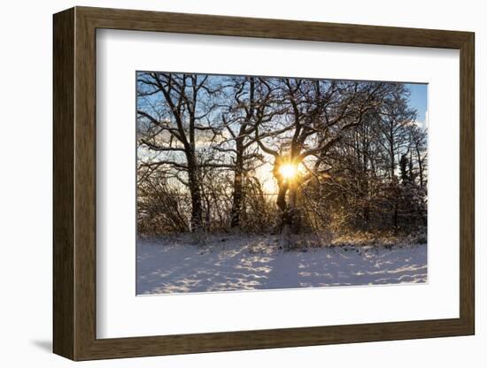Panorama, Snowscape, Saaler Bodden-Catharina Lux-Framed Photographic Print