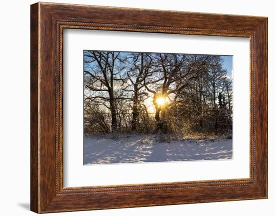 Panorama, Snowscape, Saaler Bodden-Catharina Lux-Framed Photographic Print