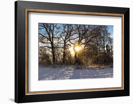 Panorama, Snowscape, Saaler Bodden-Catharina Lux-Framed Photographic Print