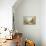 Panorama Transatlantique, Paris-null-Giclee Print displayed on a wall