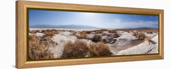 Panorama, USA, Death Valley National Park, Salt Creek-Catharina Lux-Framed Premier Image Canvas