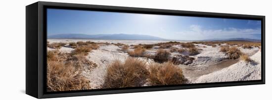 Panorama, USA, Death Valley National Park, Salt Creek-Catharina Lux-Framed Premier Image Canvas